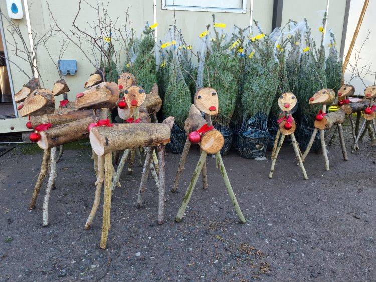 timber reindeers